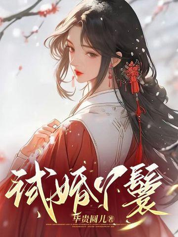 试婚丫鬟by茄子苏小小全文阅读最新章