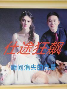 仕途狂飙从基层到封疆大吏